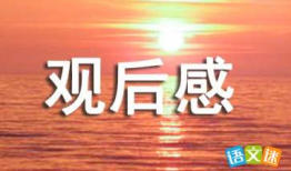 防溺水视频观后感,防溺水安全教育启示录